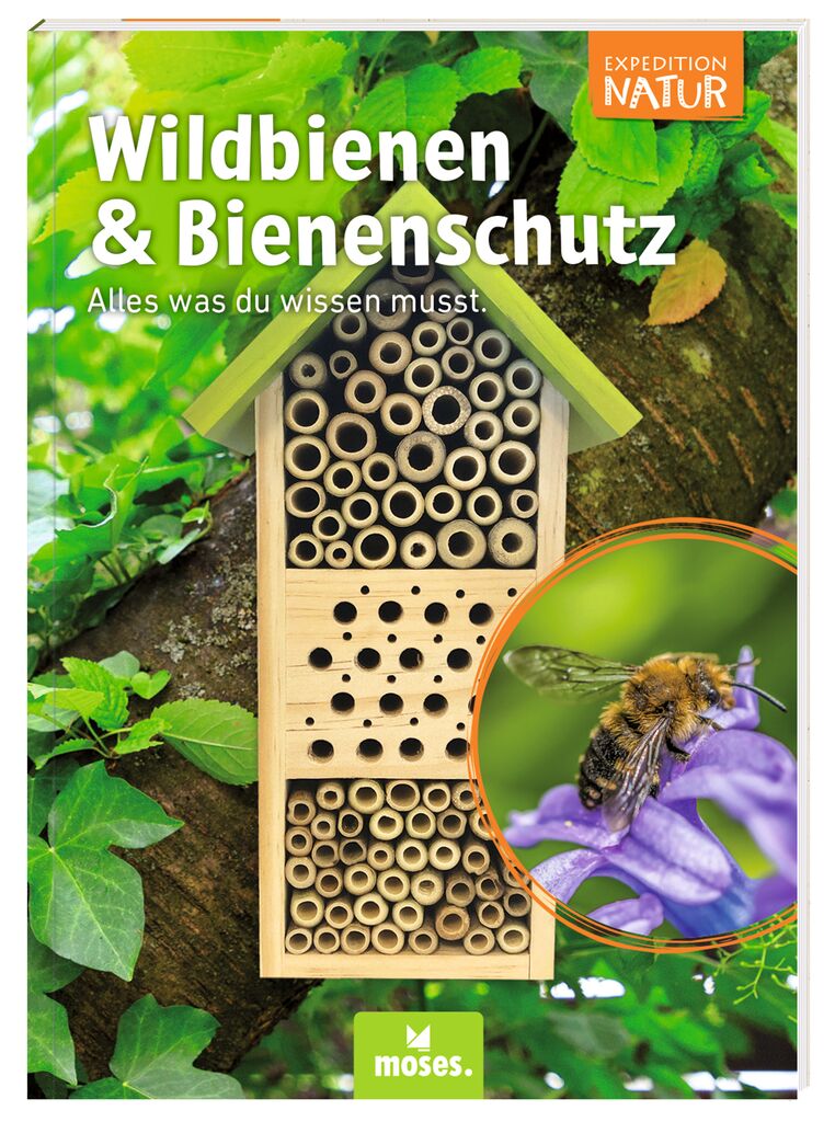 Expedition Natur Bienenhotel