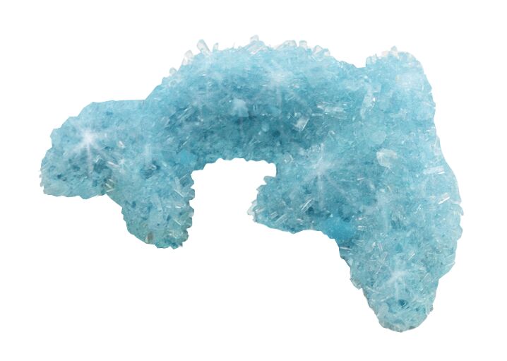 PhänoMINT Funkelnde Kristalltiere züchten blau