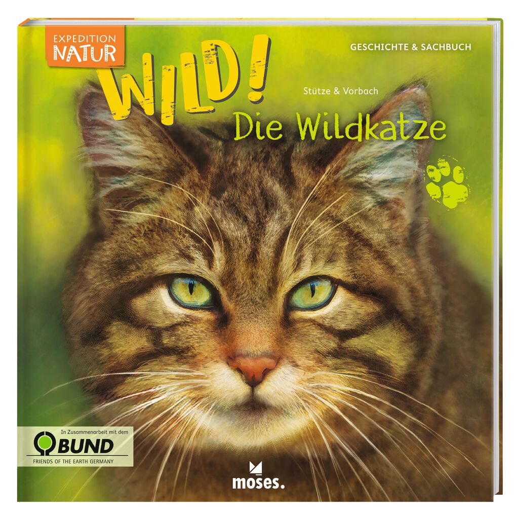 WILD! Die Wildkatze