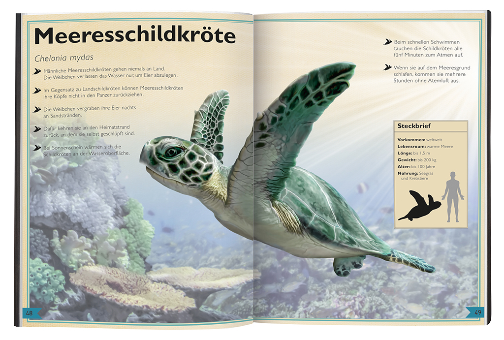 Das Riesenbuch der Meerestiere Das Riesenbuch der Meerestiere