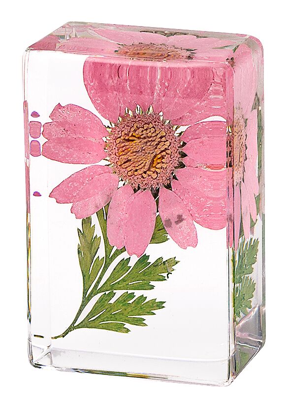 Blatt & Blüte Forever Flowers - gepresste Blüten rosa