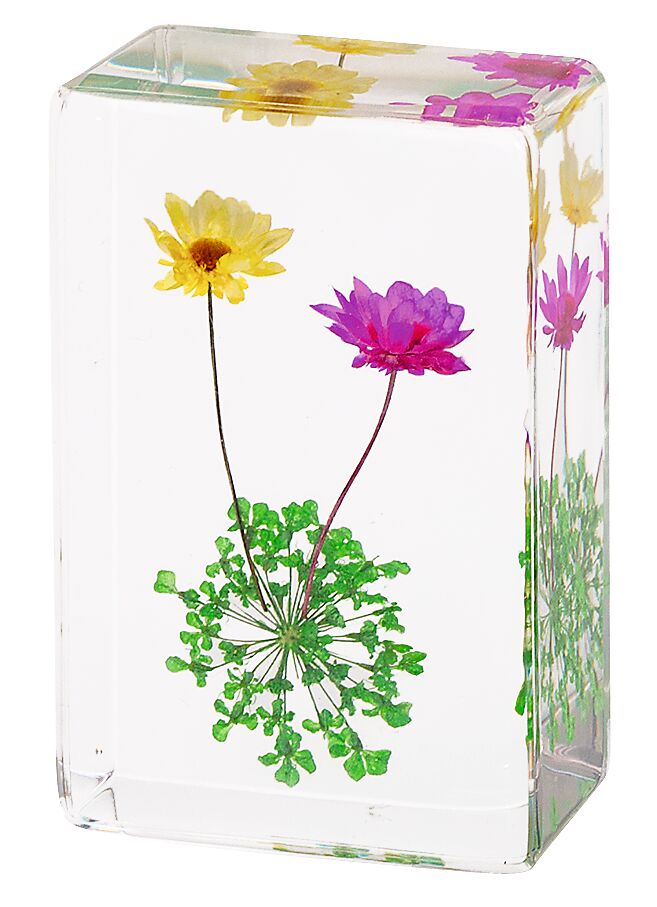 Blatt & Blüte Forever Flowers - gepresste Blüten gelb-violett