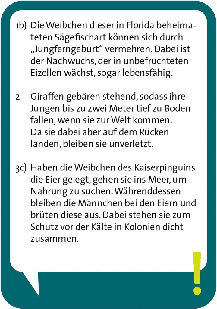 Pocket Quiz - Verrückte Natur