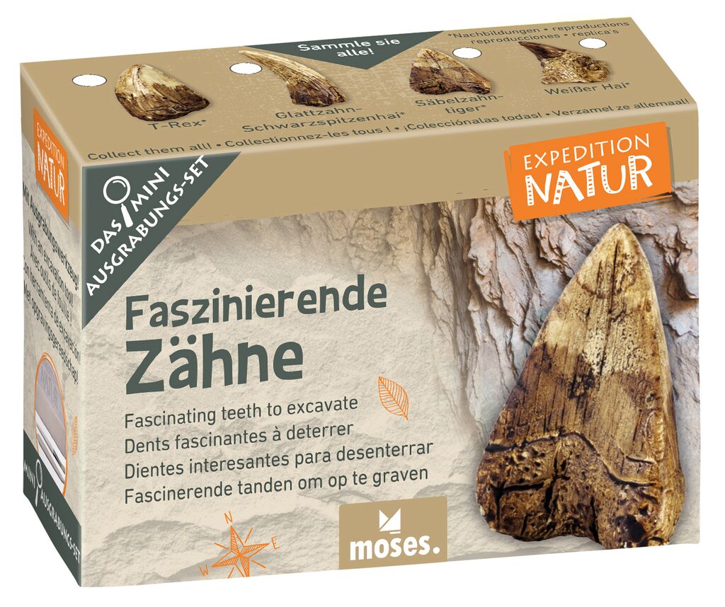 Expedition Natur Mini-Ausgrabungsset Faszinierende Zähne