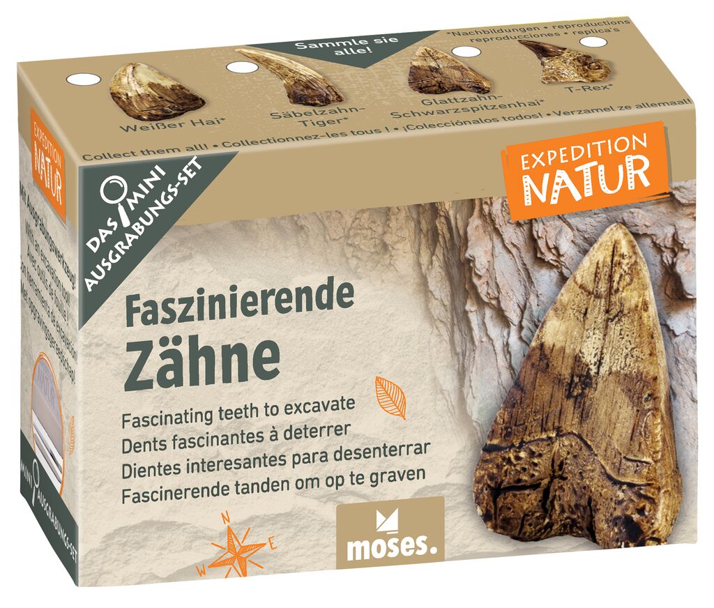 Expedition Natur Mini-Ausgrabungsset Faszinierende Zähne