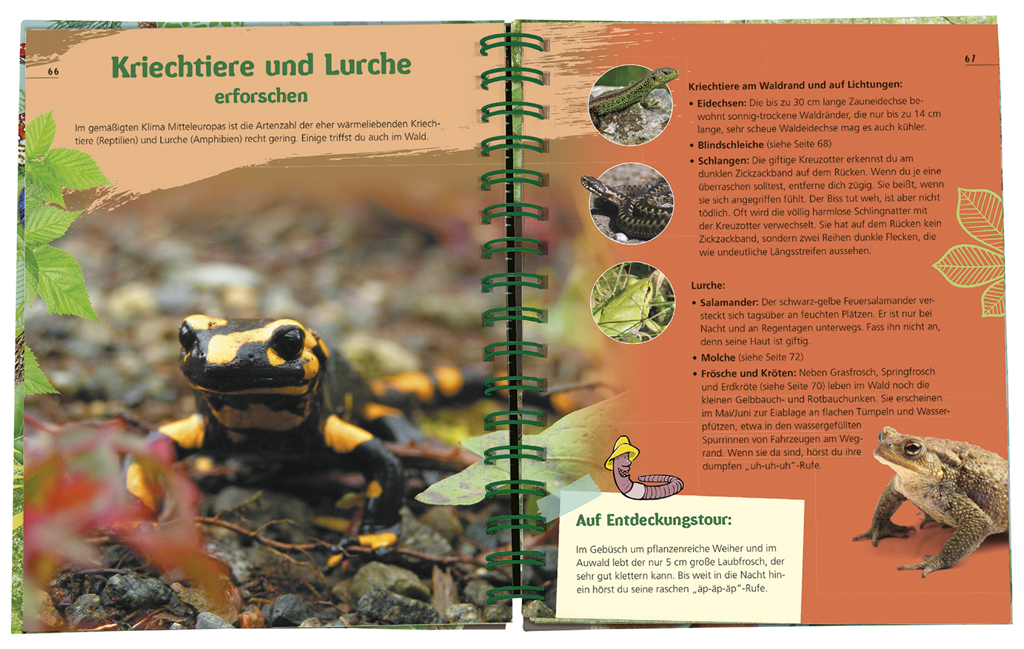 Expedition Natur - Das Wald-Forscherbuch