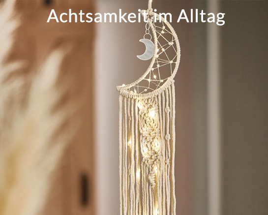 https://www.moses-verlag.de/media/23/08/0a/1675680612/teaserbox_omm.jpg