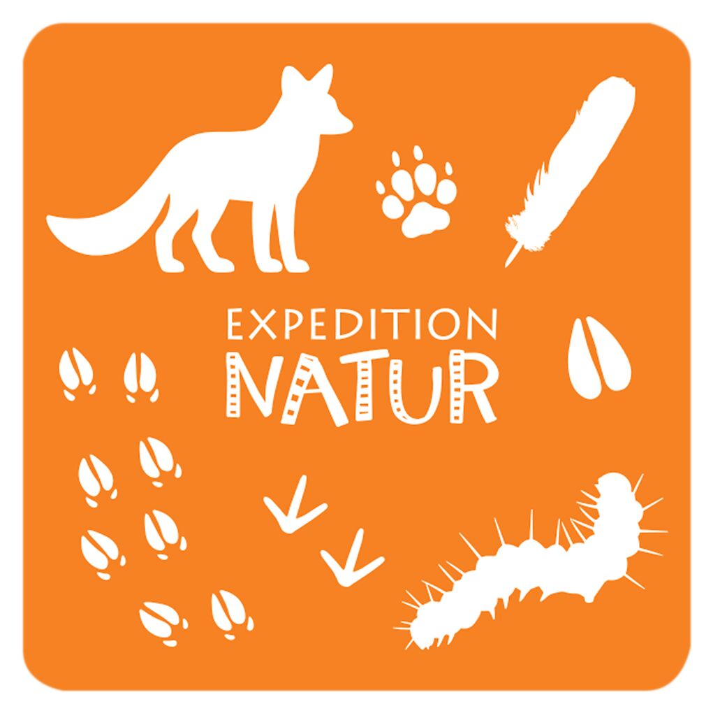 Expedition Natur - Das große Tierspuren Memo