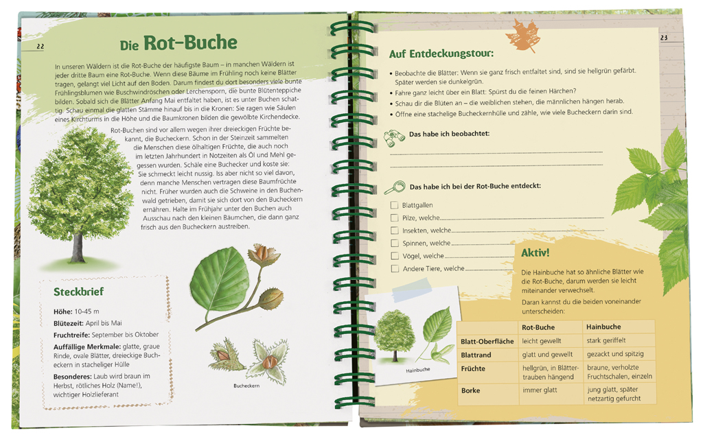 Expedition Natur - Das Wald-Forscherbuch