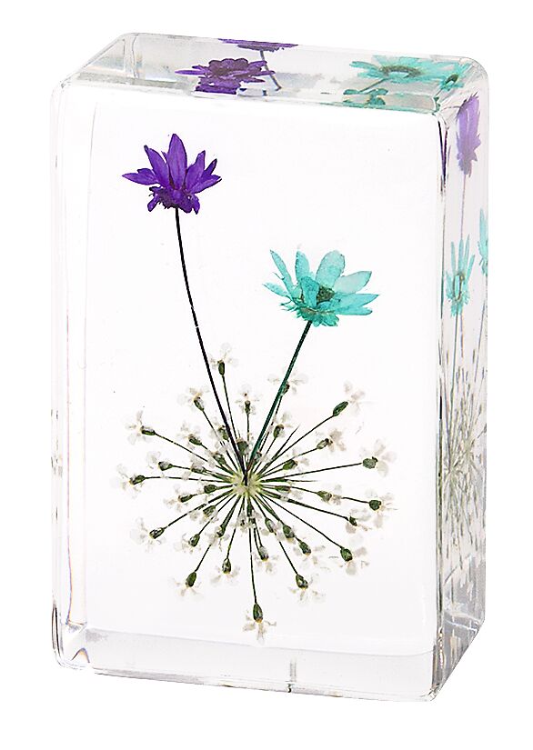Blatt & Blüte Forever Flowers - gepresste Blüten blau