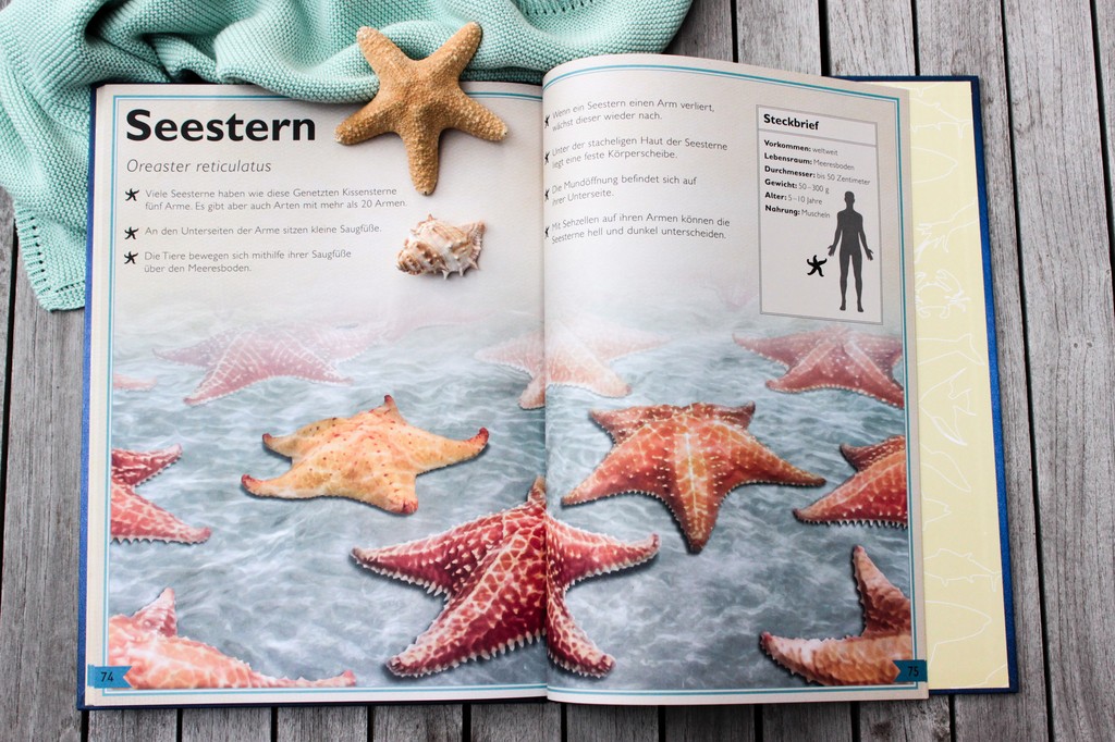 Das Riesenbuch der Meerestiere Das Riesenbuch der Meerestiere