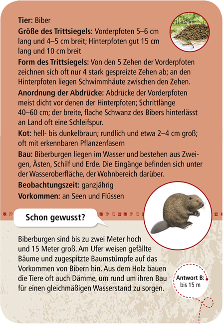 Expedition Natur - 50 Tierspuren