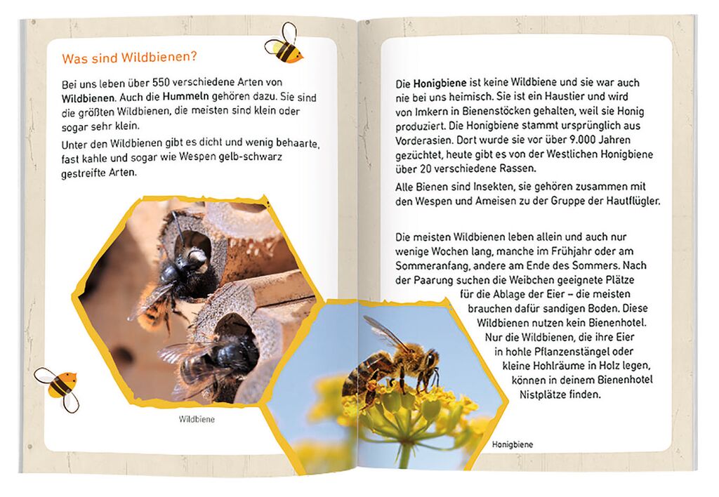 Expedition Natur Bienenhotel