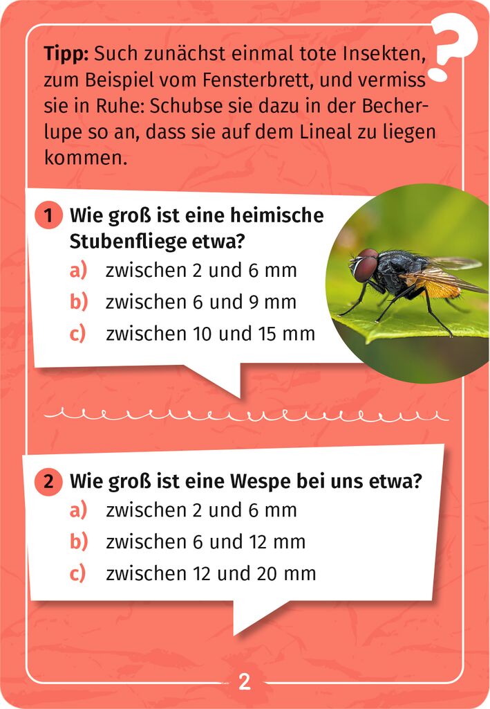 Expedition Natur Mein Becherlupen-Forscherquiz