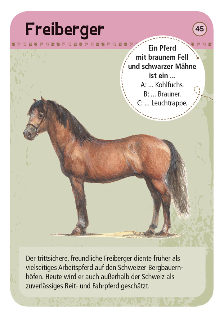 Expedition Natur - 50 Pferde & Ponys