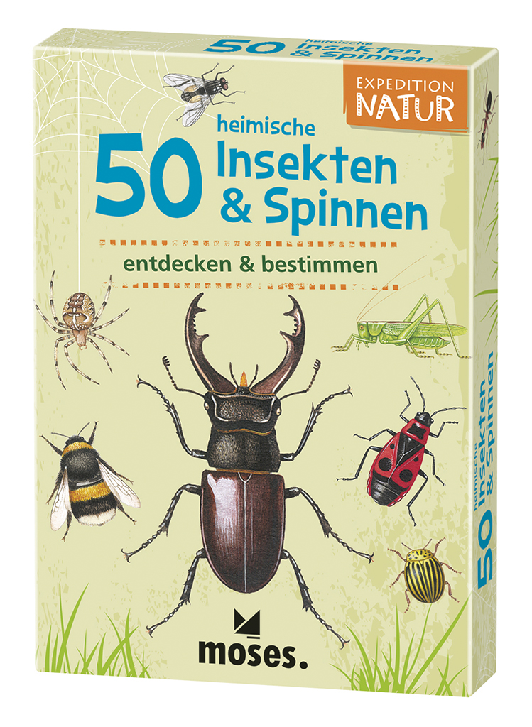 Expedition Natur - 50 heimische Insekten & Spinnen