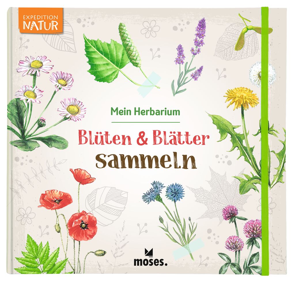 Mein Herbarium: Blüten & Blätter sammeln | 051924