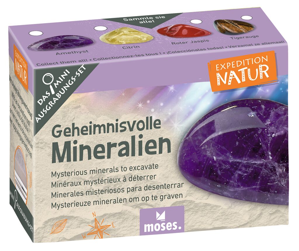 Expedition Natur Mini-Ausgrabungsset Geheimnisvolle Mineralien