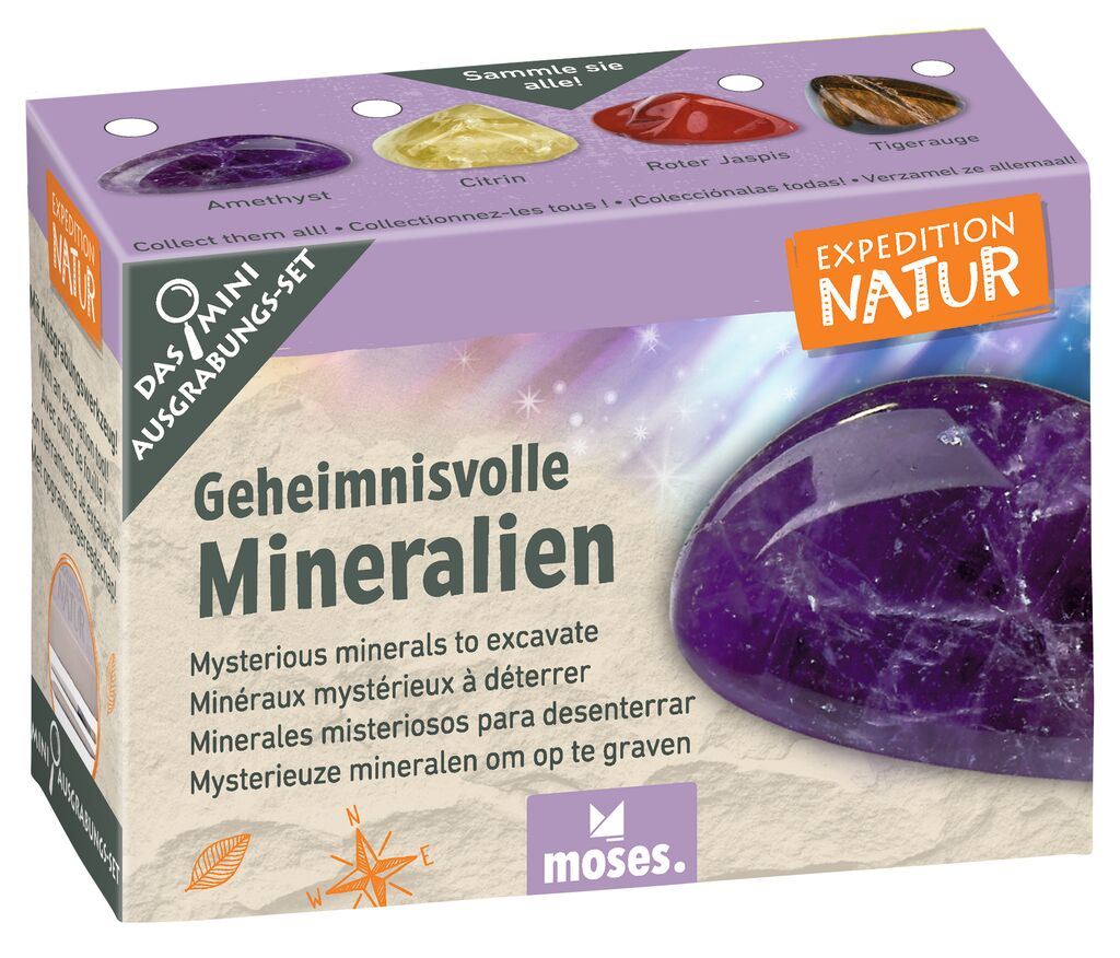 Expedition Natur Mini-Ausgrabungsset Geheimnisvolle Mineralien