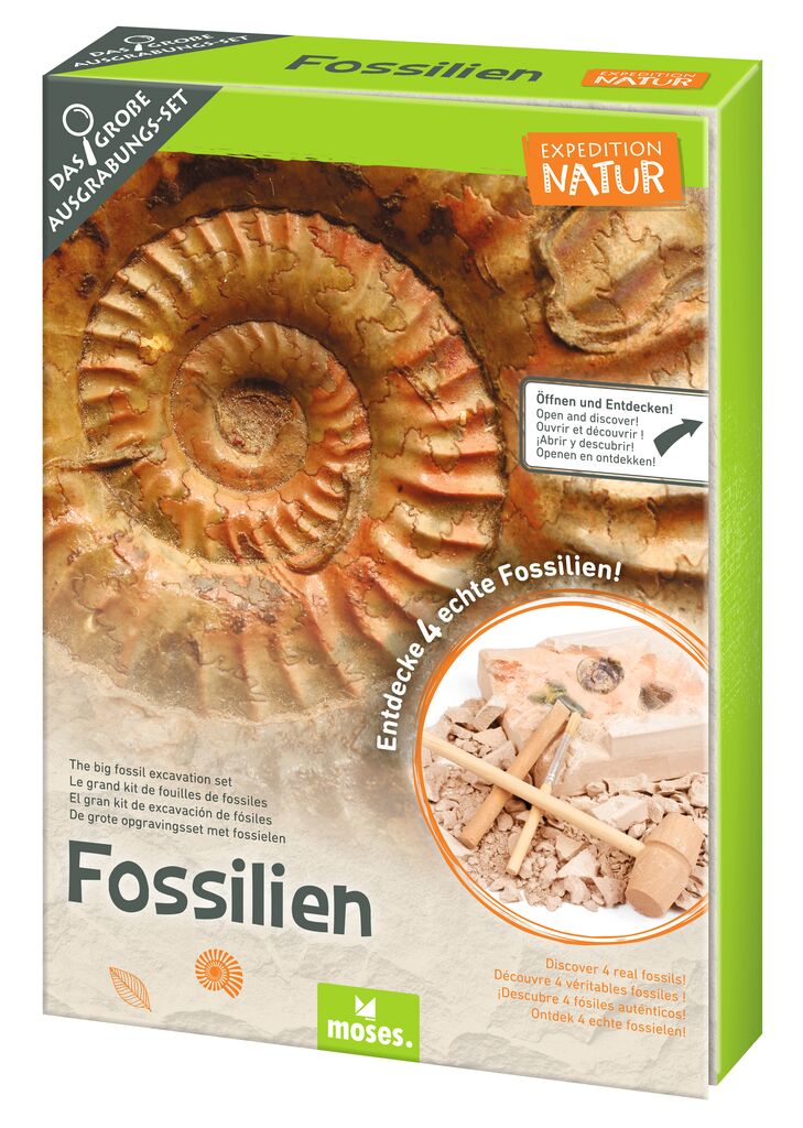 Expedition Natur - Das große Fossilien-Ausgrabungs-Set Expedition Natur - Das große Fossilien-Ausgrabungs-Set