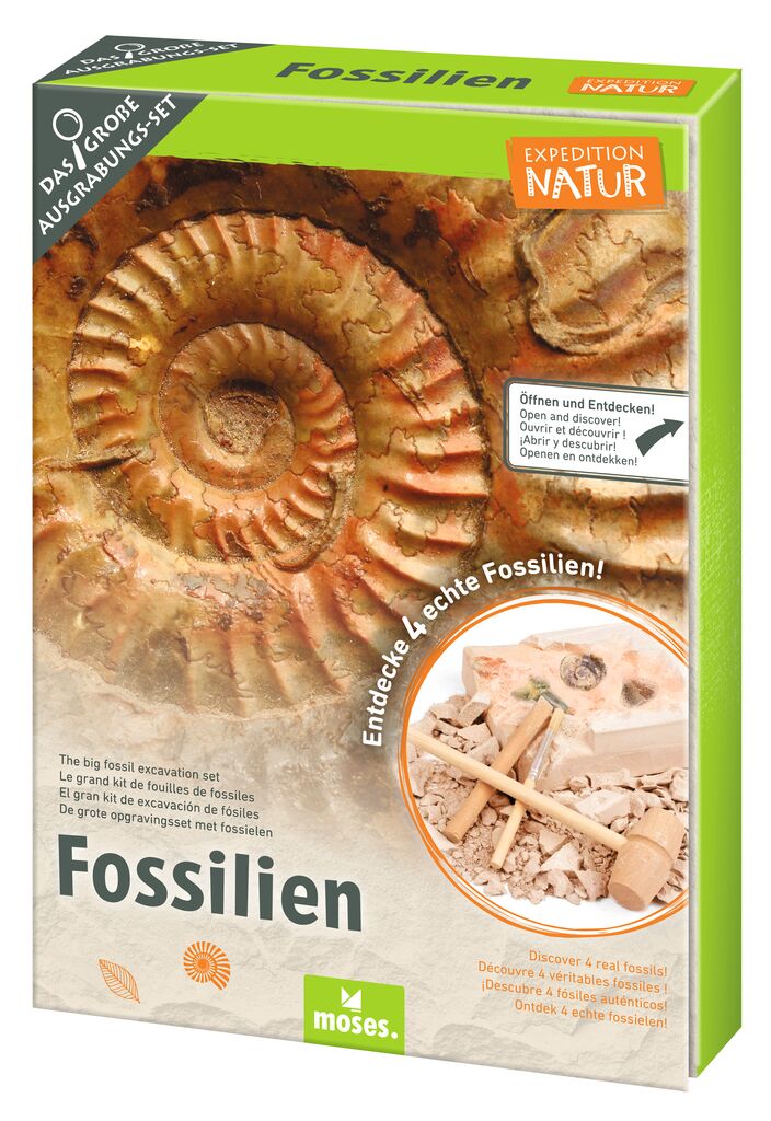 Expedition Natur - Das große Fossilien-Ausgrabungs-Set