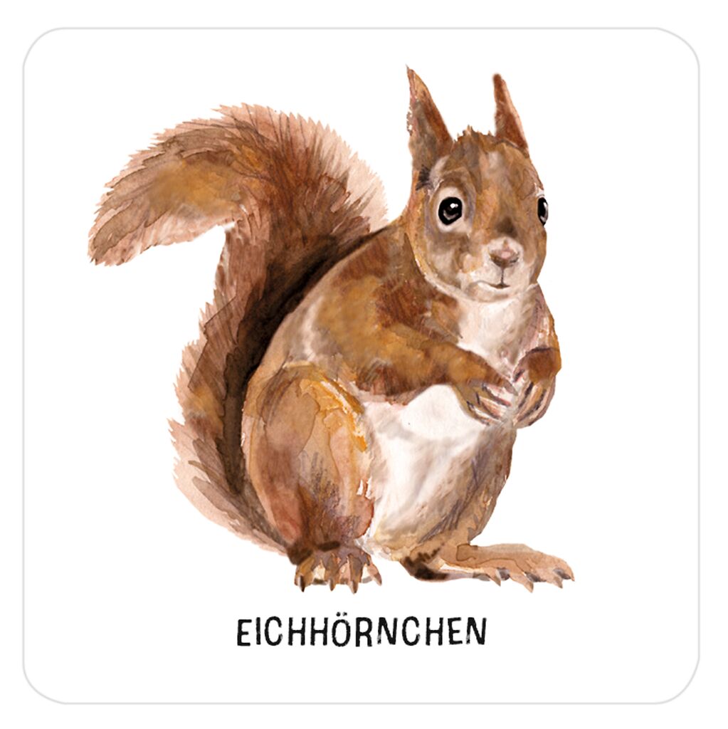 Expedition Natur - Das große Tierspuren Memo