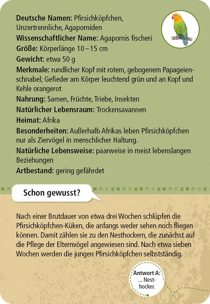 Expedition Natur - 50 Zootiere
