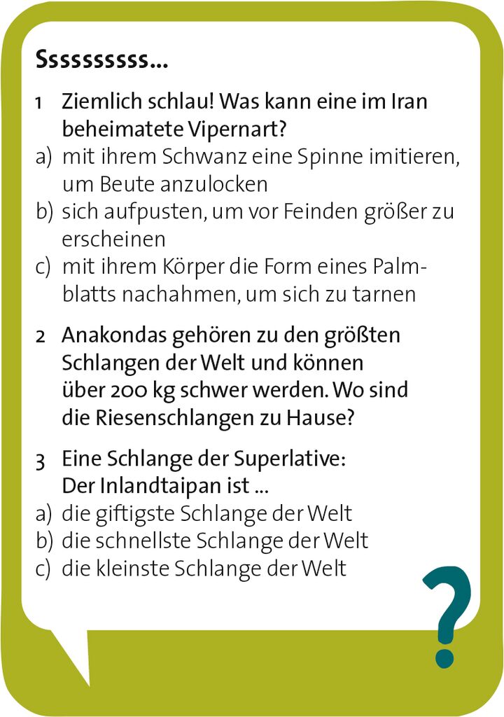 Pocket Quiz - Verrückte Natur