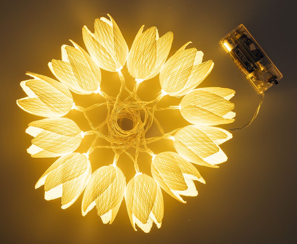 Leuchtende Tulpen-LED-Lichterkette mit transparentem Batteriefach, warmes Licht, Marke: moses. Verlag.