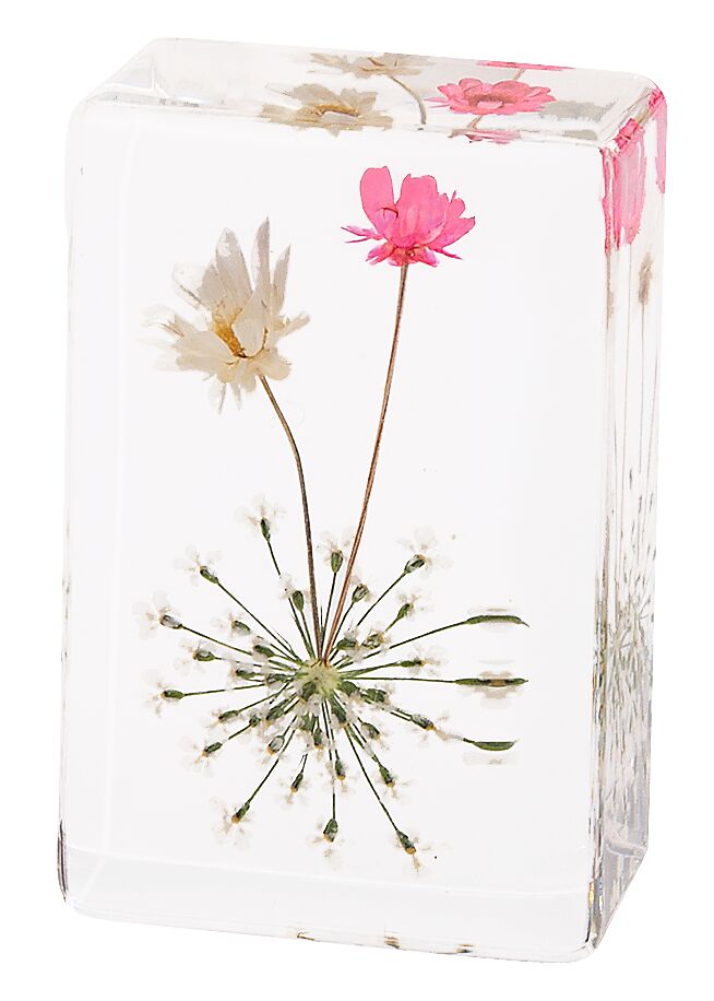 Blatt & Blüte Forever Flowers - gepresste Blüten weiß-rosa