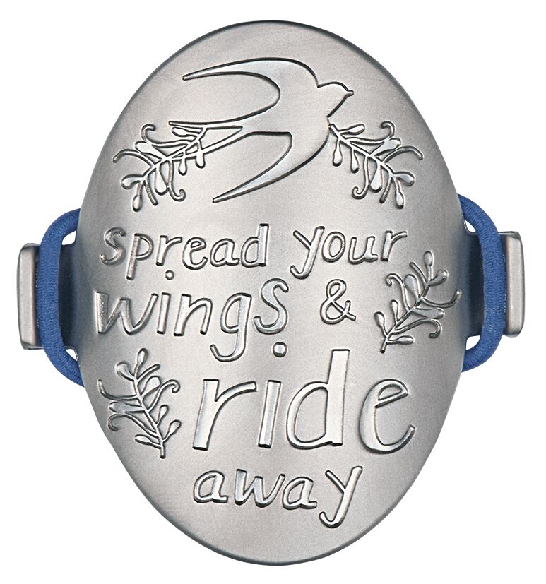 Fahrrad Radplakette Ride away
