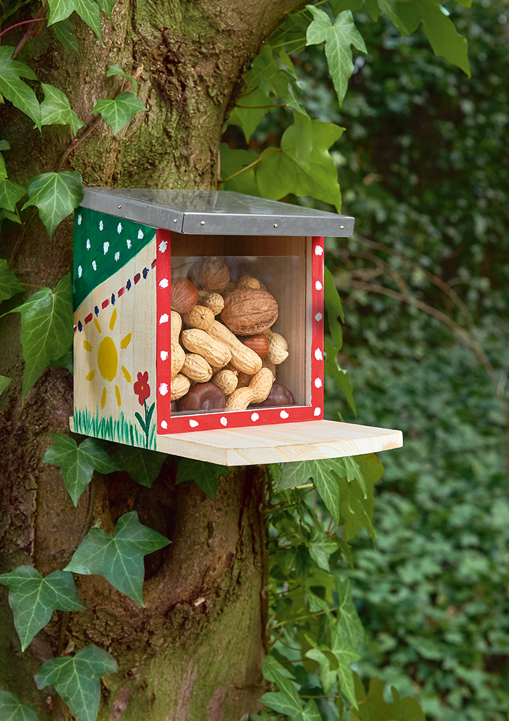 Krabbelkäfer Eichhörnchen-Futterhaus