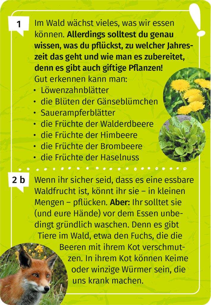 Expedition Natur Mein Wald-Forscherquiz Expedition Natur Mein Wald-Forscherquiz