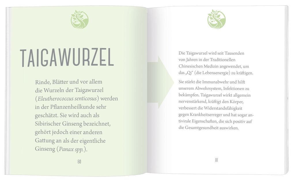 Omm for you Heilkräuterkunde - Der kleine Guide