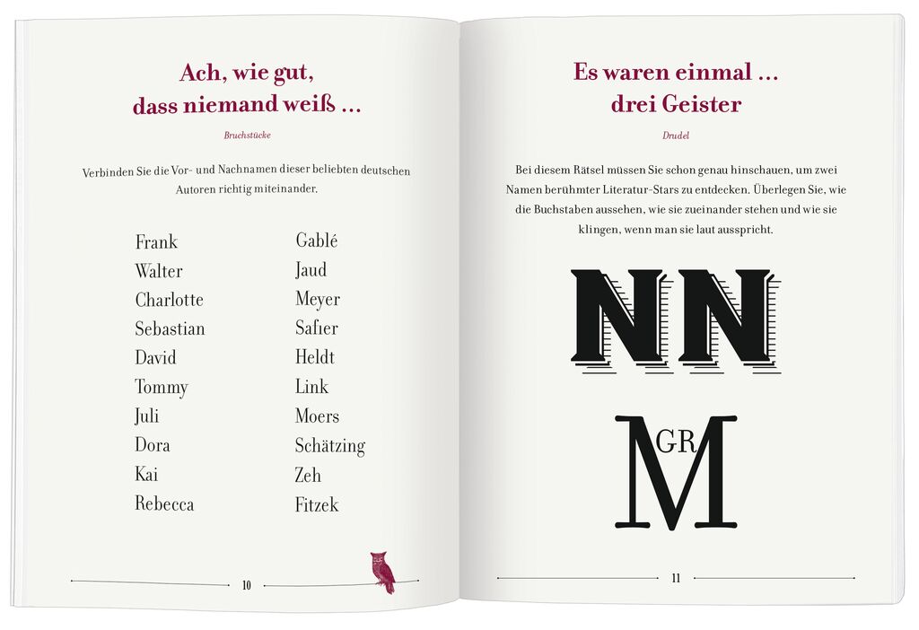 Das Literatur-Rätselbuch