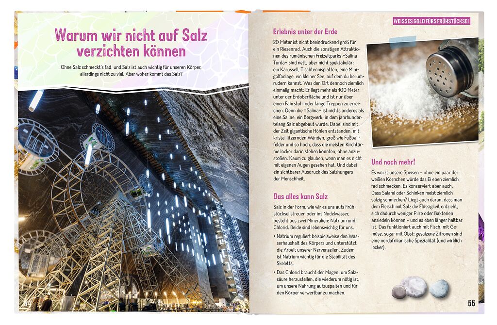 Expedition Natur - Erforsche Steine & Mineralien: Verborgene Schätze der Erde