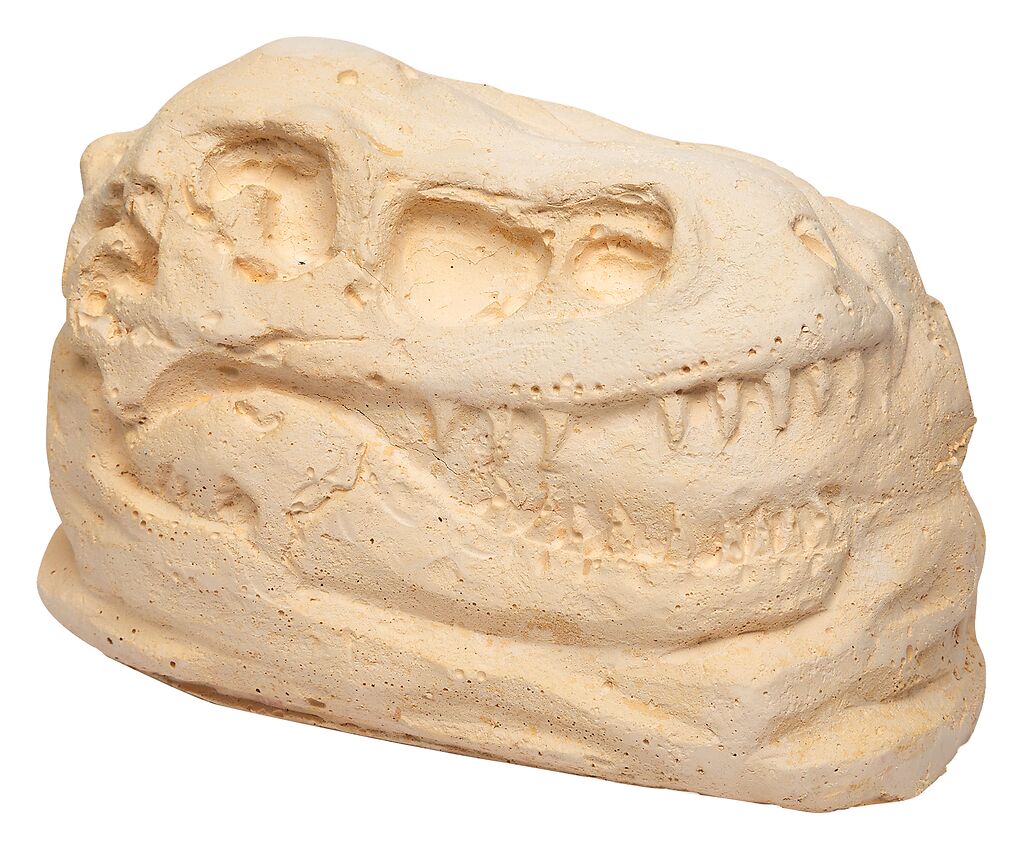 Dino Ausgrabungsset T-Rex