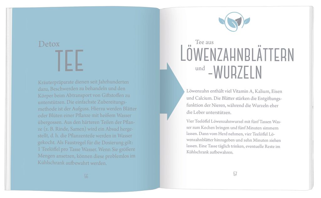 Omm for you Detox - Der kleine Guide