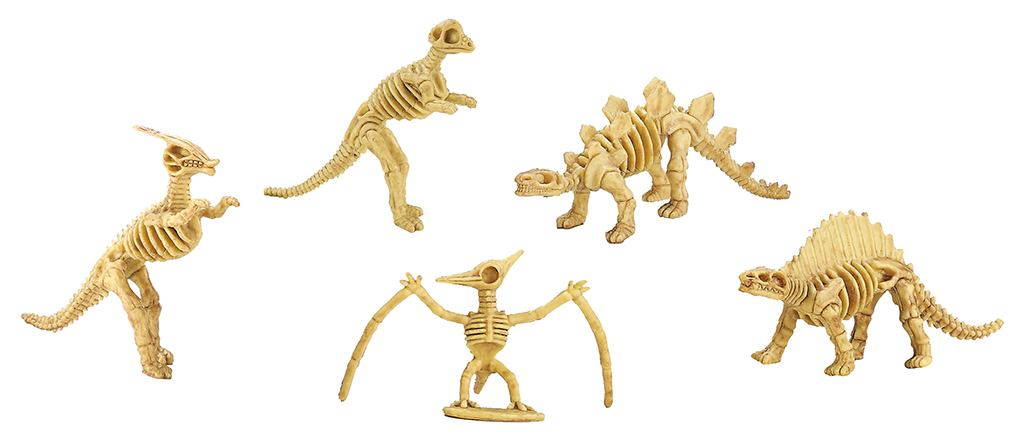 Dino-Skelett zum Ausgraben Dino-Skelett zum Ausgraben