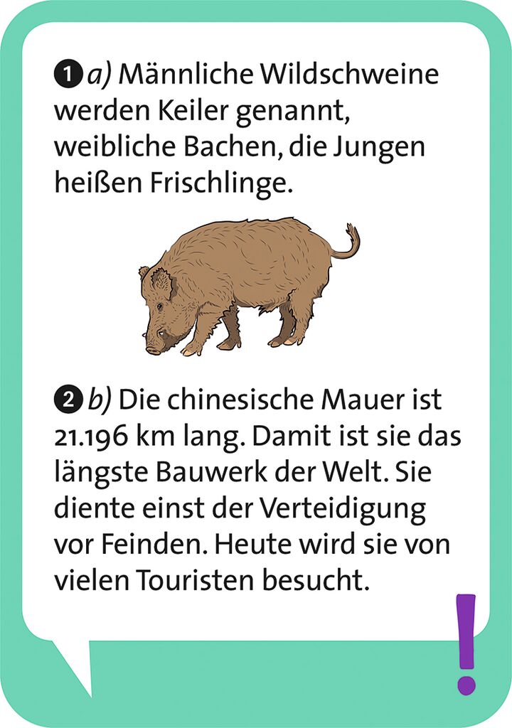 Pocket Quiz junior - Allgemeinwissen