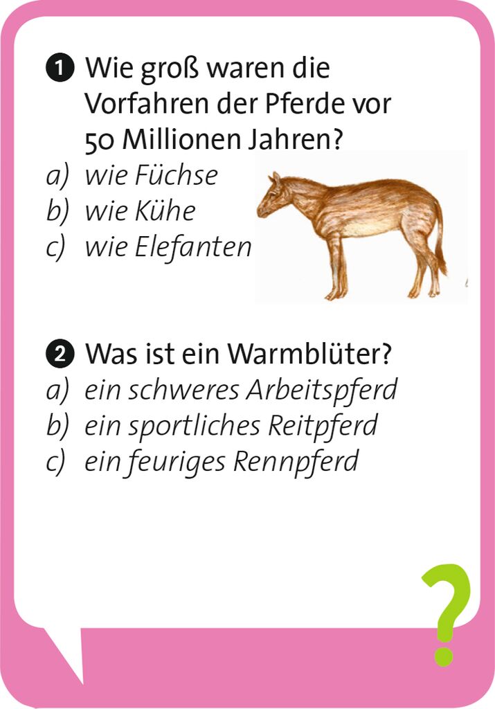 Pocket Quiz junior - Pferde Pocket Quiz junior - Pferde