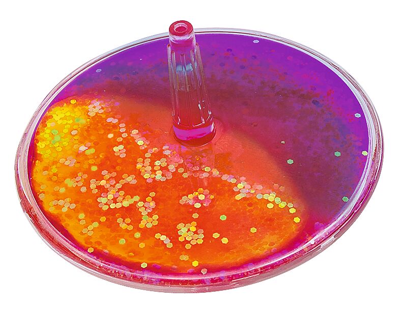 PhänoMINT Hydrokreisel pink