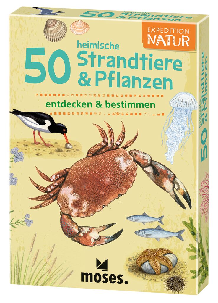 Expedition Natur - 50 heimische Strandtiere & Pflanzen