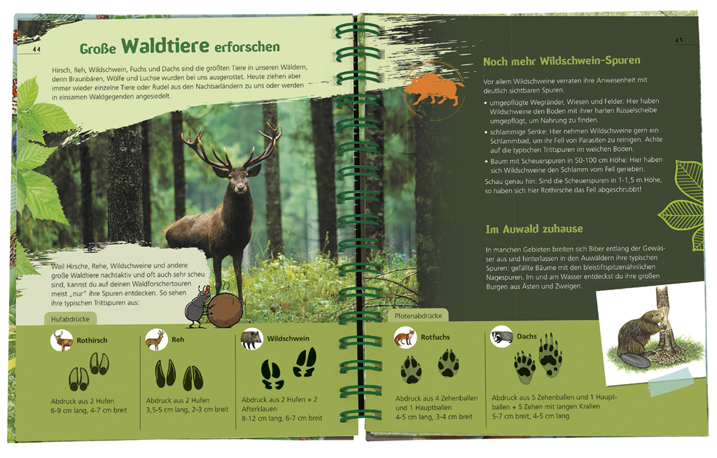 Expedition Natur - Das Wald-Forscherbuch