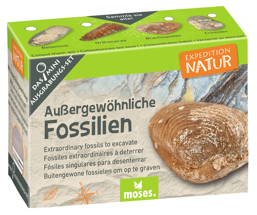 Expedition Natur Mini-Ausgrabungsset (versch. Sets)