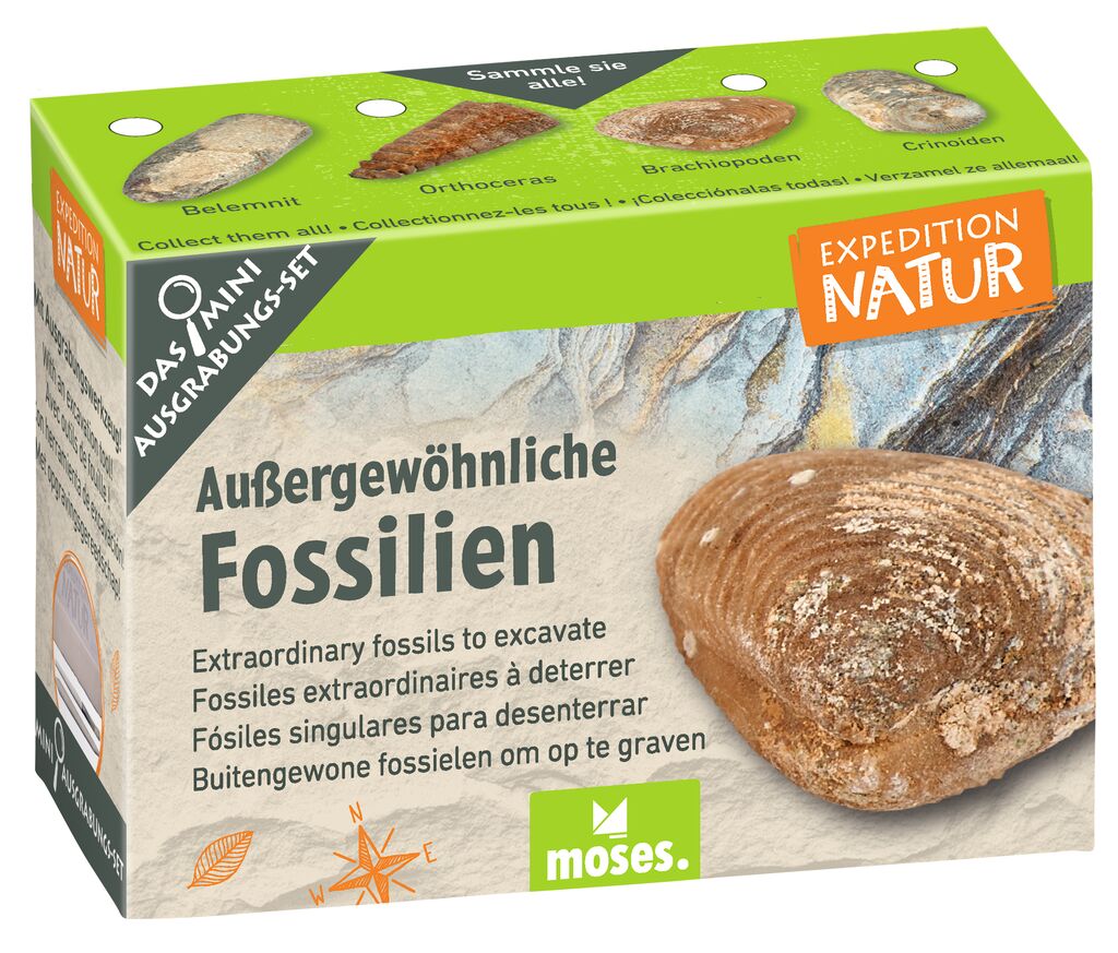 Expedition Natur Mini-Ausgrabungsset Außergewöhnliche Fossilien