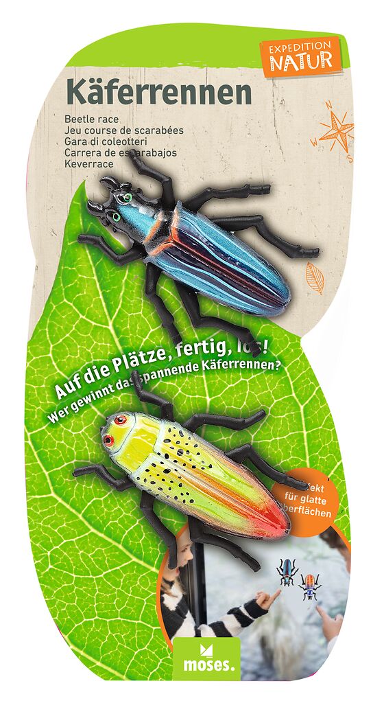 Expedition Natur Käferrennen