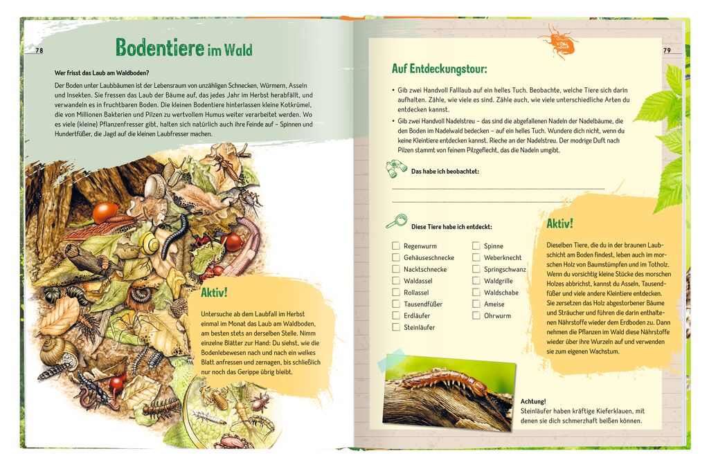 Der Wald - Unser einzigartiger Lebensraum