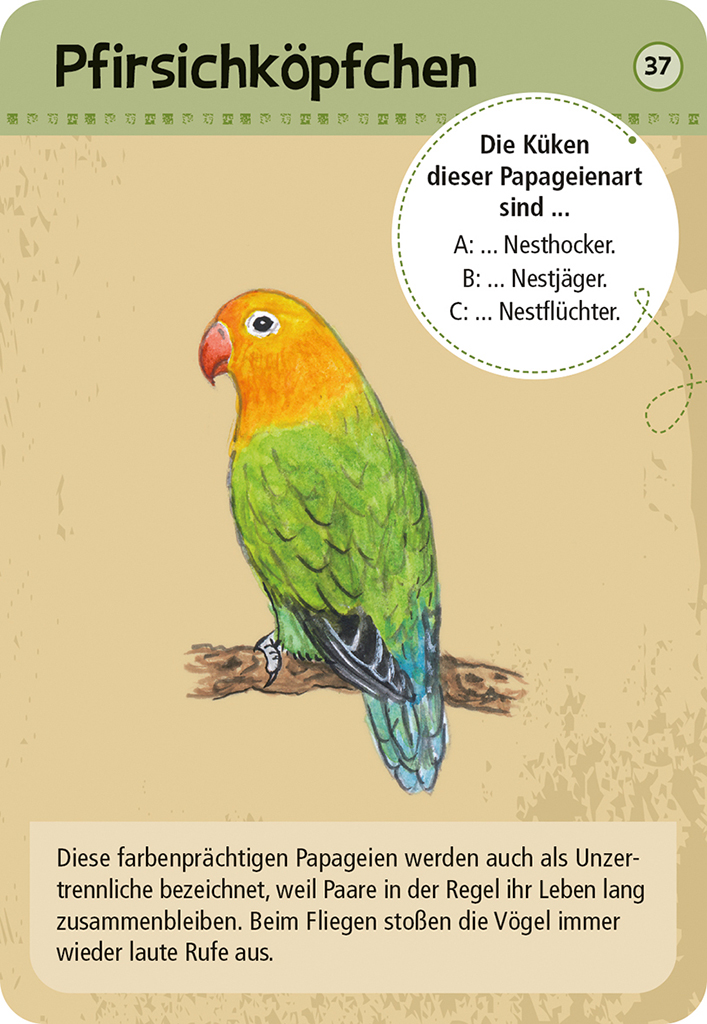 Expedition Natur - 50 Zootiere