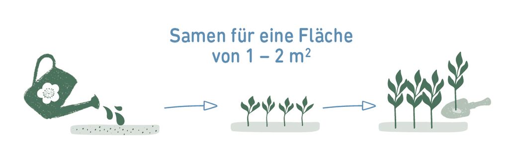 Blatt & Blüte Bienenbar